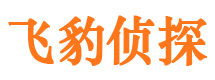 东西湖寻人公司